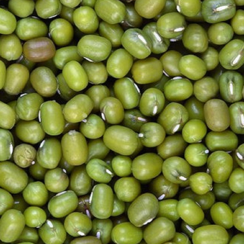 Pulses